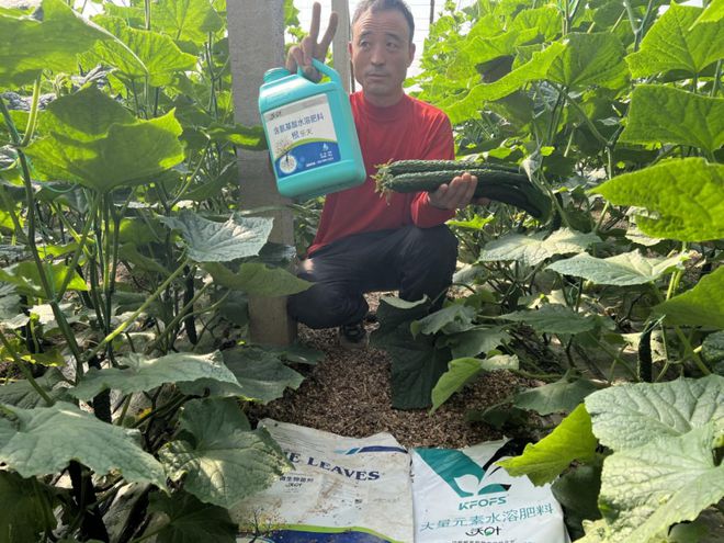 种植蔬菜用什么肥料好？两个解决两个方案(图1)