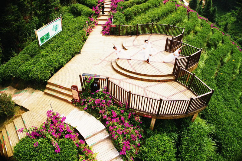 融水积极发展休闲农业助力乡村振兴(图3)