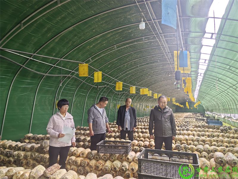 合水县顺利完成2024年绿色食品年检工作(图3)