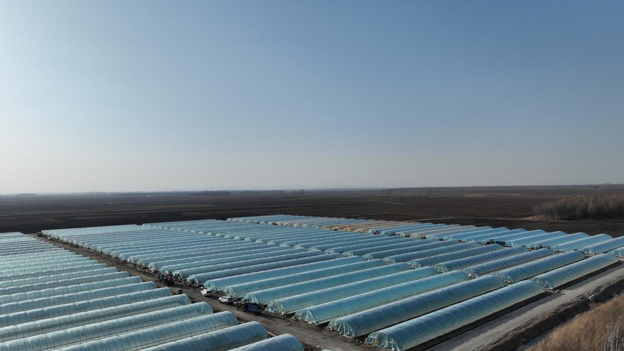 名山农场有限公司绿色食品认证面积达2547万亩(图2)