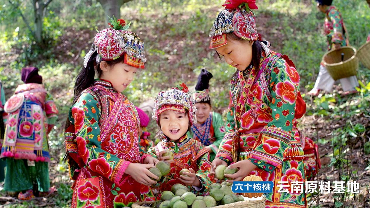 小核桃撑起大产业六个核桃荣膺“2024乡村振兴优秀案例”(图4)