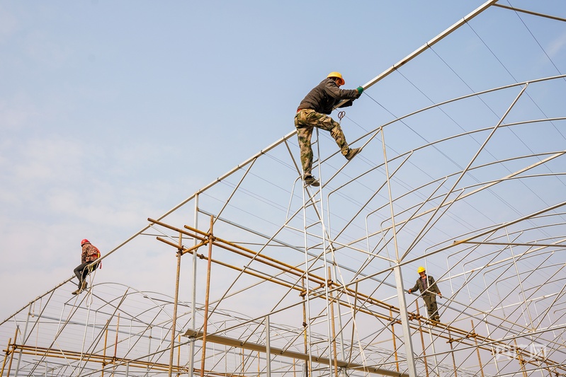 打造蔬菜产业示范园促蔬菜产业提级增效(图1)