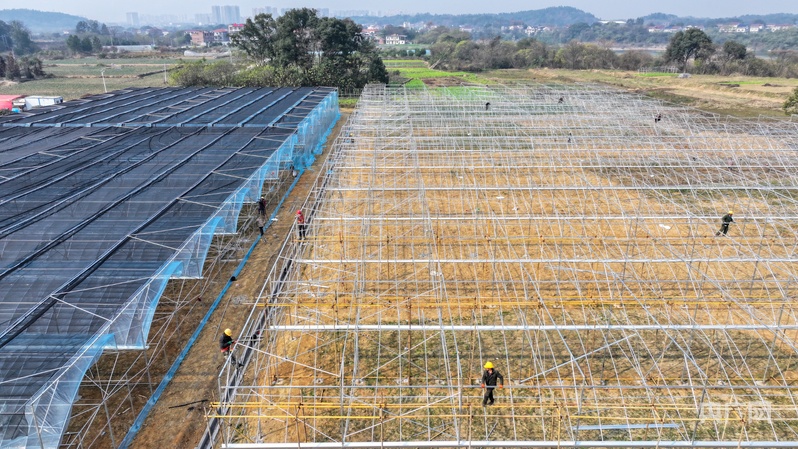 打造蔬菜产业示范园促蔬菜产业提级增效(图2)