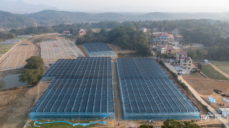 打造蔬菜产业示范园促蔬菜产业提级增效(图3)