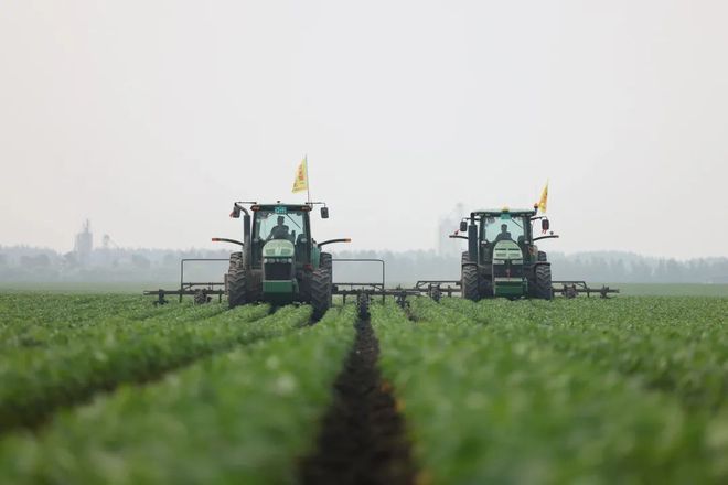 【2024农业高质量发展巡礼】北大荒集团：规模田里有账算(图1)