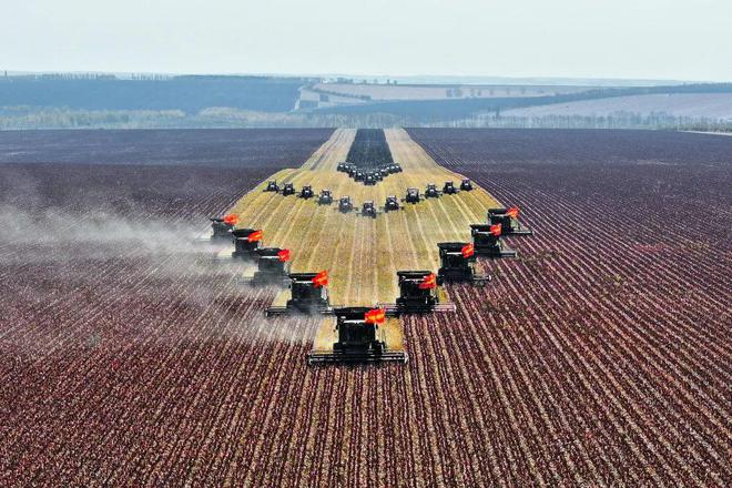 【2024农业高质量发展巡礼】北大荒集团：规模田里有账算(图4)