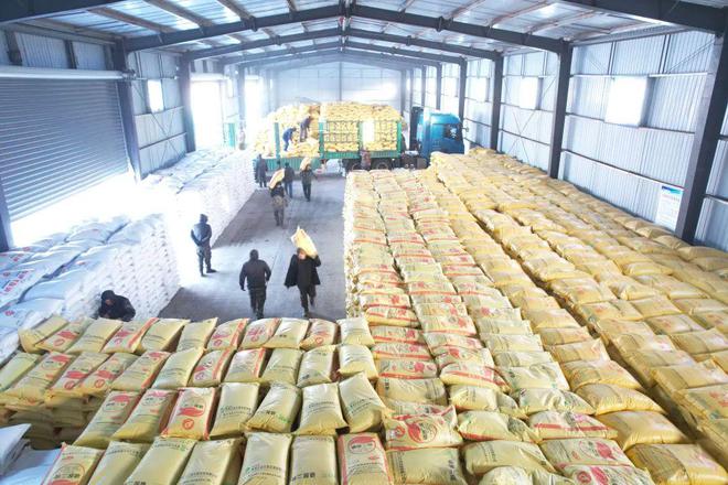 【2024农业高质量发展巡礼】北大荒集团：规模田里有账算(图2)