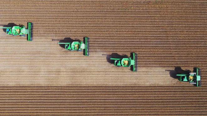 【2024农业高质量发展巡礼】北大荒集团：规模田里有账算(图5)