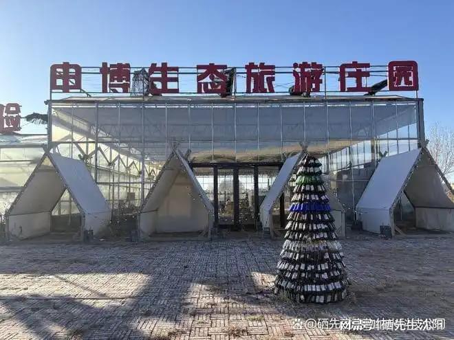 农业的未来是功能农业大健康的未来是生物纳米技术(图4)