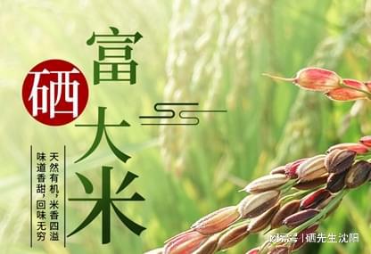 农业的未来是功能农业大健康的未来是生物纳米技术(图1)