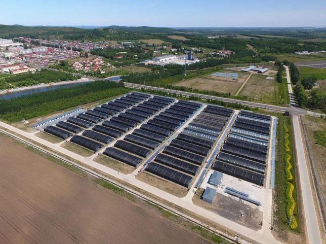 【2024农业高质量发展巡礼】北大荒集团:产业花开振兴果来(图1)