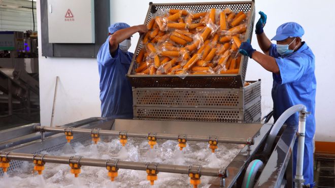 【2024农业高质量发展巡礼】北大荒集团:产业花开振兴果来(图4)