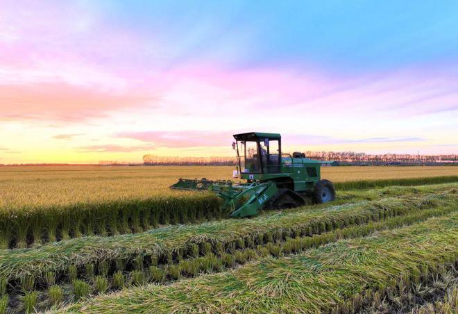 【2024农业高质量发展巡礼】北大荒集团:产业花开振兴果来(图3)