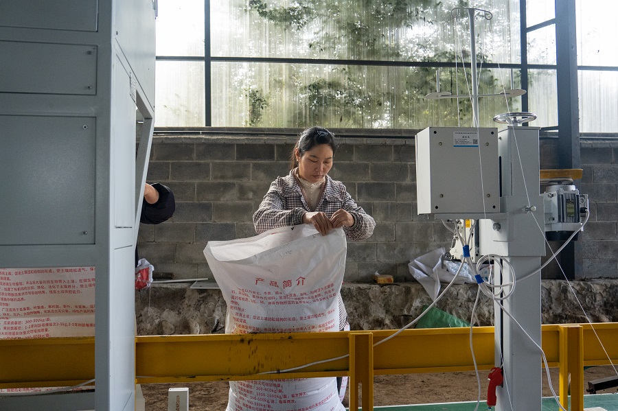 热土新风有机肥加工线编织致富梦_新华网(图2)