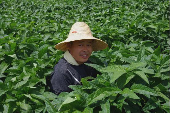 【2024农业高质量发展巡礼】北大荒“新农人”志高气扬、耕耘万顷！(图6)