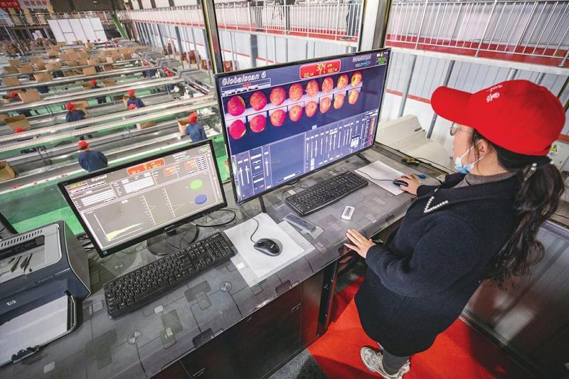 县域农业科技现代化的临猗探索(图1)