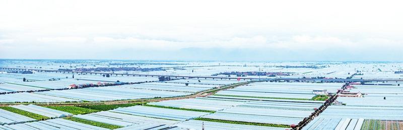 县域农业科技现代化的临猗探索(图3)