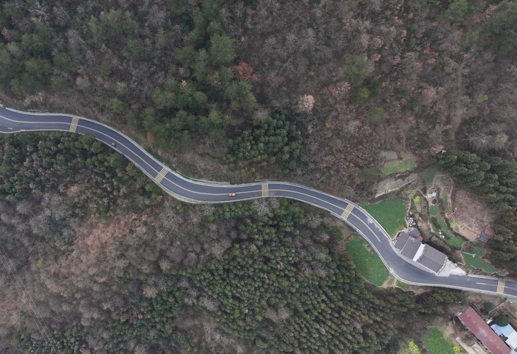 新春走基层丨拐过72道弯大巴山深处茶香悠悠(图1)