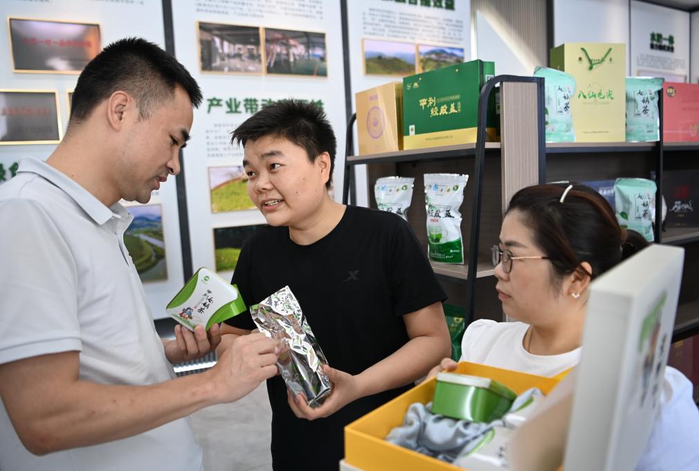 新春走基层丨拐过72道弯大巴山深处茶香悠悠(图3)