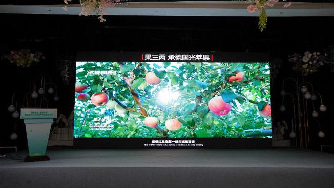 绿色农业健康之源承德县2024年农产品推介会在滦州成功举行(图3)