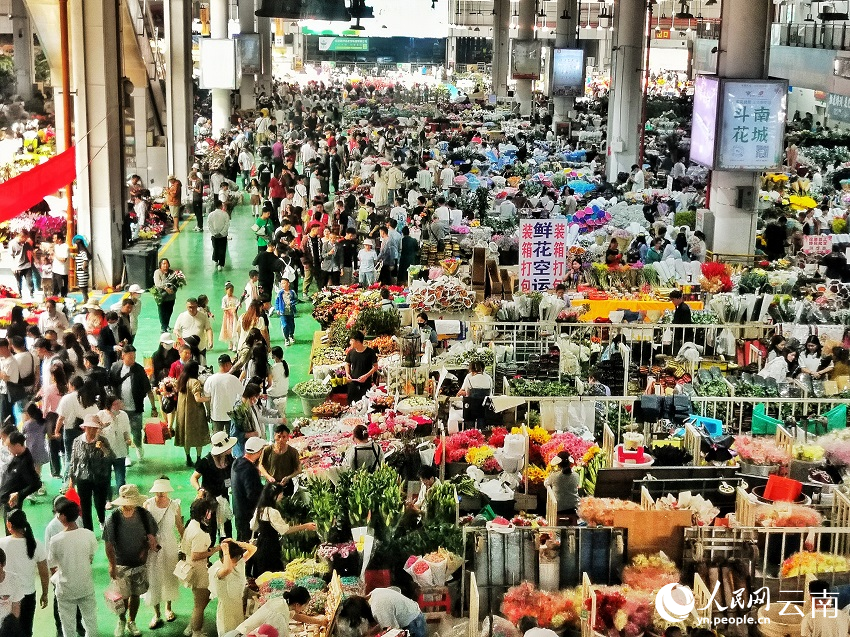 昆明打赢了“翻身仗”(图3)