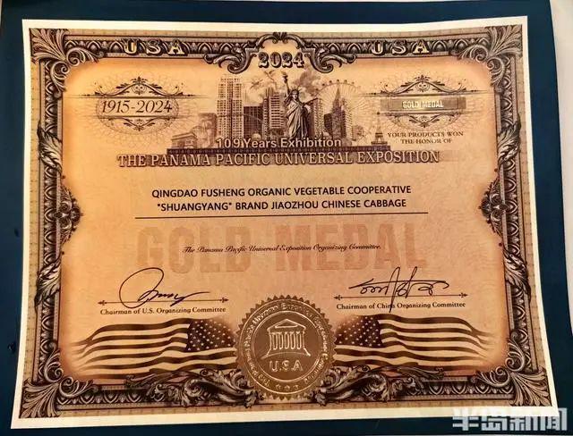 胶州西南乡这个合作社~出国“打擂”胶州大白菜抱回“巴拿马金奖”(图7)