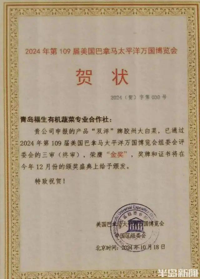 胶州西南乡这个合作社~出国“打擂”胶州大白菜抱回“巴拿马金奖”(图6)