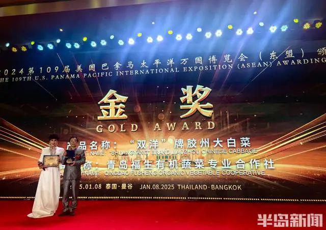 胶州西南乡这个合作社~出国“打擂”胶州大白菜抱回“巴拿马金奖”(图9)