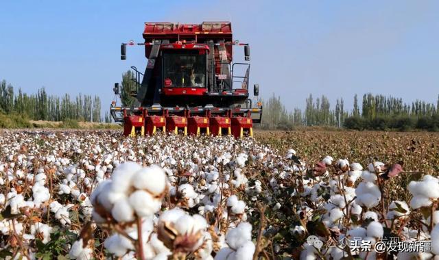 新疆经济发展趋向透析(图10)