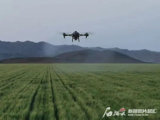 2024年阿勒泰地区农业总产值增速9%增速全疆第一(图2)