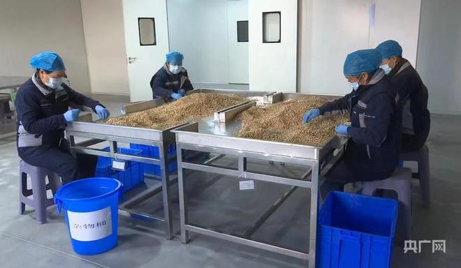 【甘快看·青定双城记③】项目“双进”促传统产业优化升级(图3)