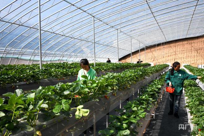 【甘快看·青定双城记③】项目“双进”促传统产业优化升级(图4)