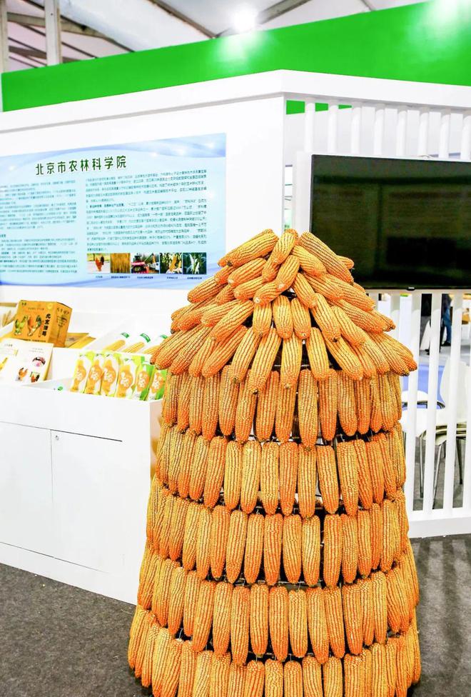 今年种业这样干！31省政府工作报告出炉(图2)