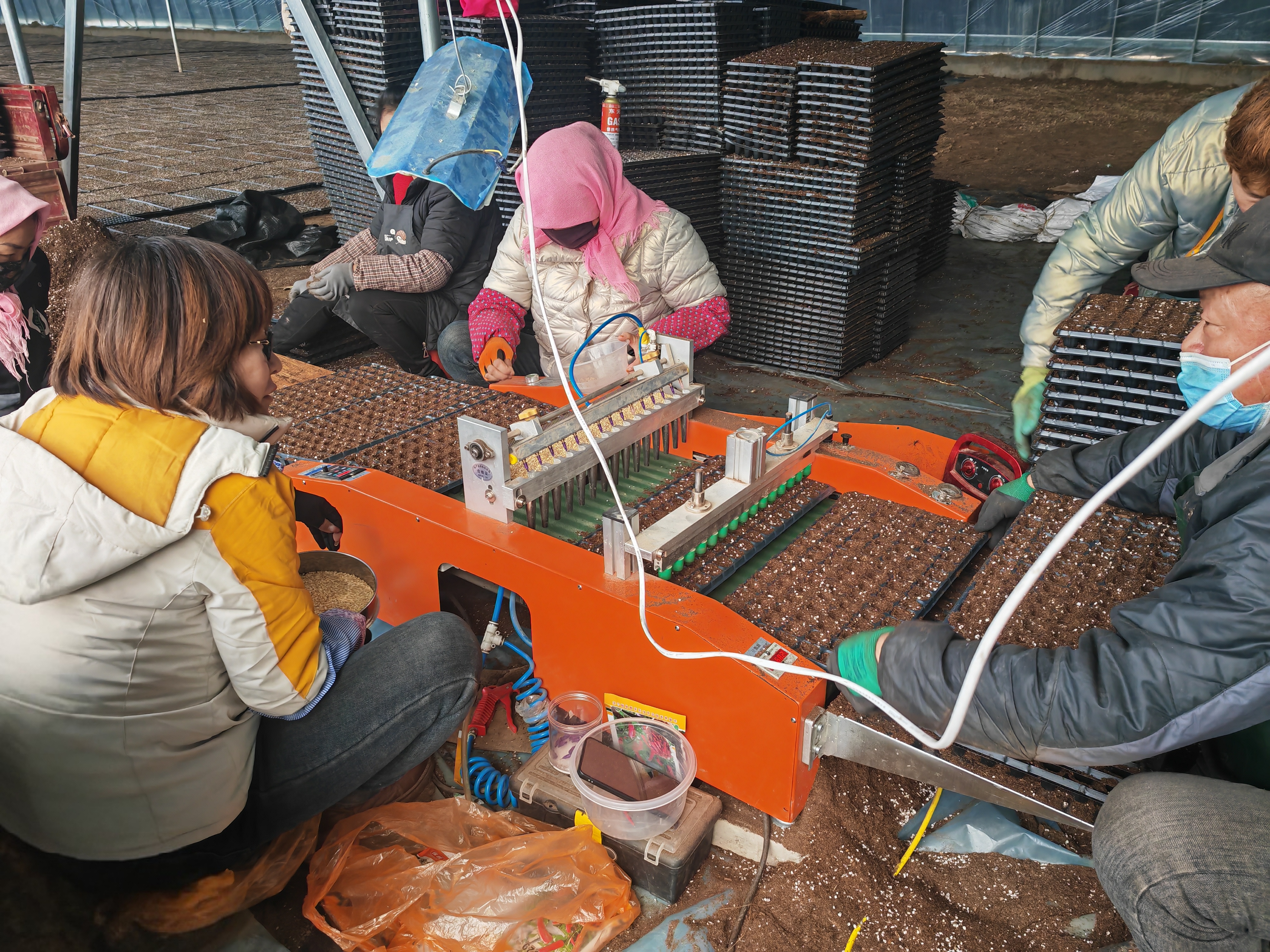 甘州区大满镇：抢抓时令育苗忙齐绘大棚“早春图”(图1)