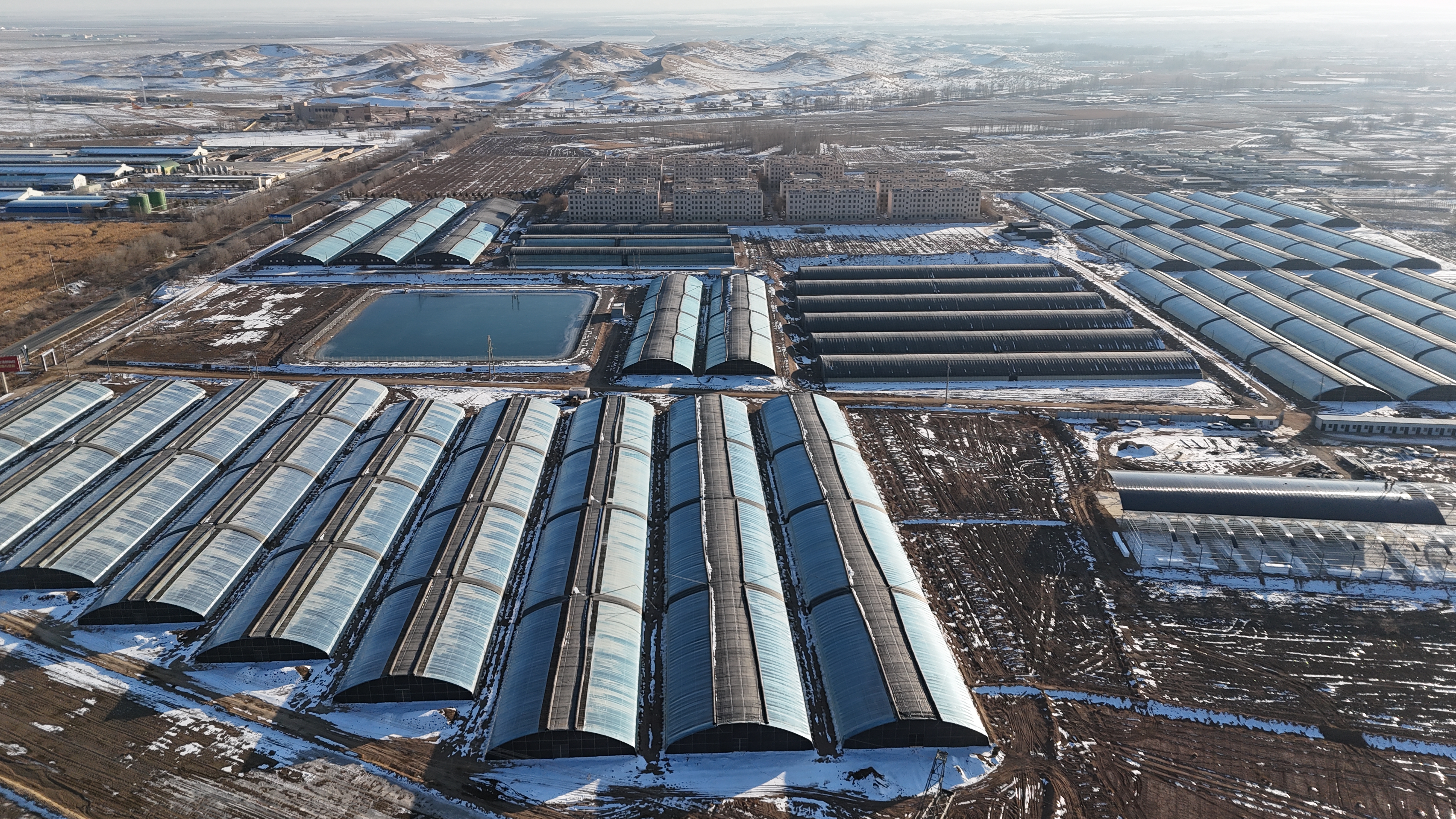 甘州区大满镇：抢抓时令育苗忙齐绘大棚“早春图”(图5)