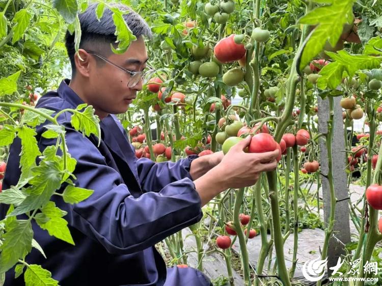 奋进潍坊·开新局丨从春之耕耘迈向一路“丰”景(图2)