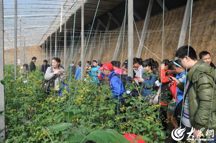 奋进潍坊·开新局丨从春之耕耘迈向一路“丰”景(图3)