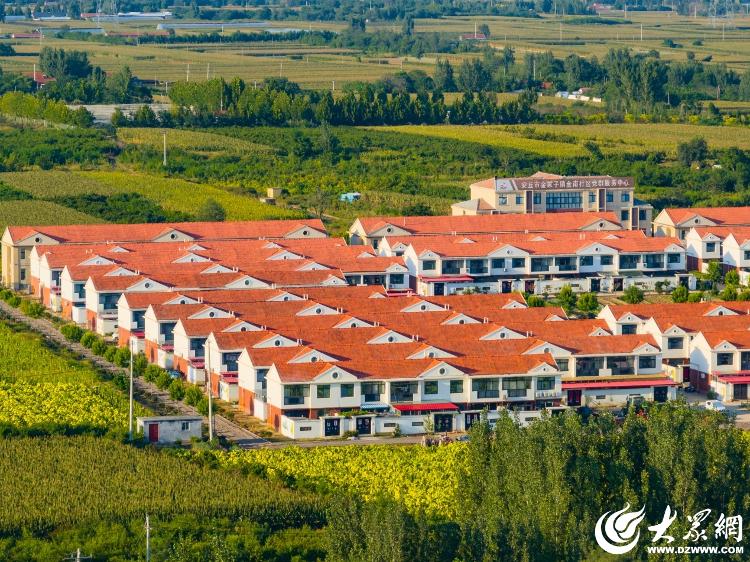 奋进潍坊·开新局丨从春之耕耘迈向一路“丰”景(图4)