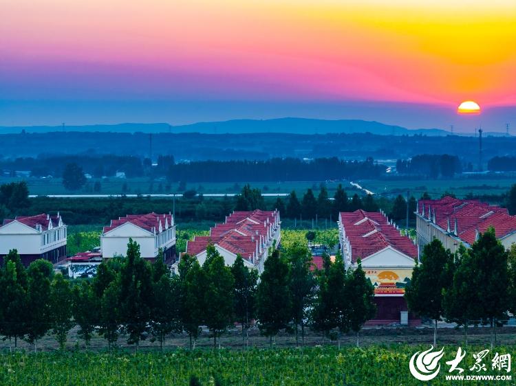 奋进潍坊·开新局丨从春之耕耘迈向一路“丰”景(图5)