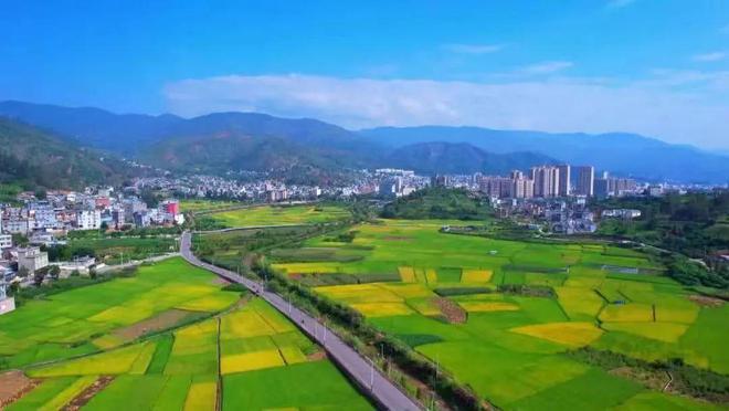 市人民政府副市长杨红波:做优高原特色农业推动农业产业转型(图1)