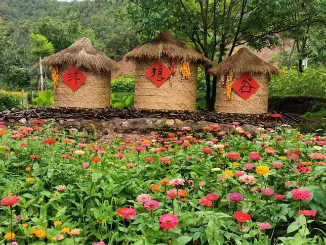 市人民政府副市长杨红波:做优高原特色农业推动农业产业转型(图3)