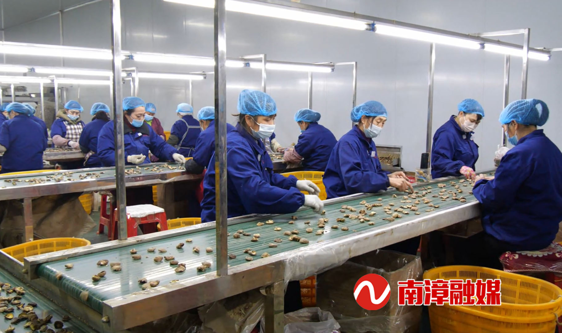 奖补300万元襄阳润景农业有限公司荣获全省特别贡献奖(图1)