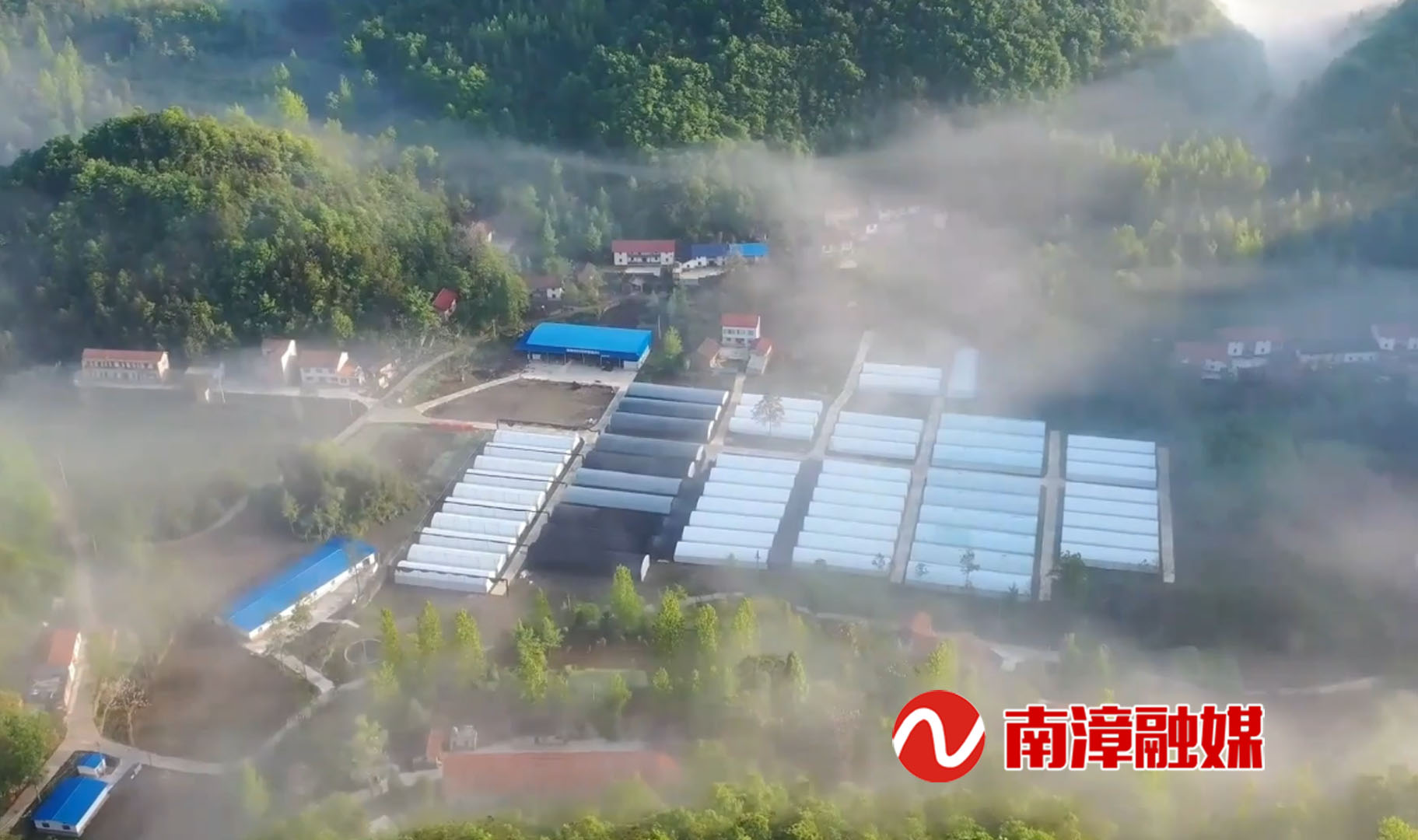 奖补300万元襄阳润景农业有限公司荣获全省特别贡献奖(图2)