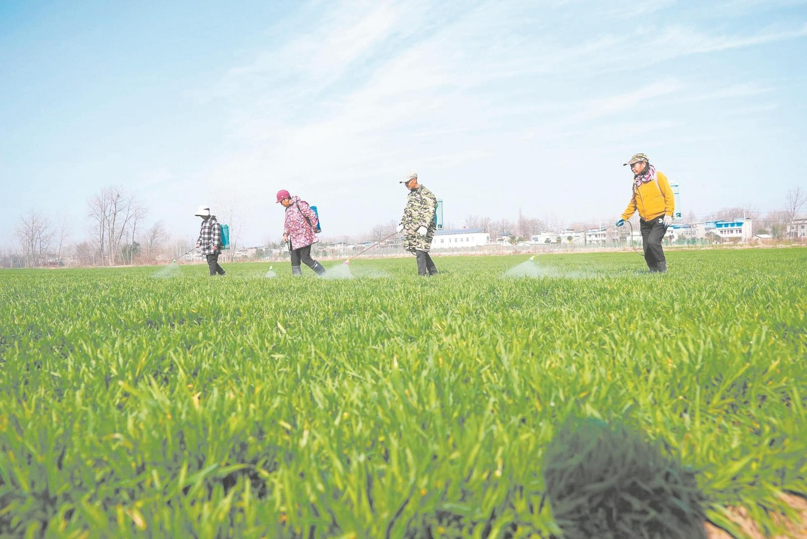 不误农时不负春光(图3)