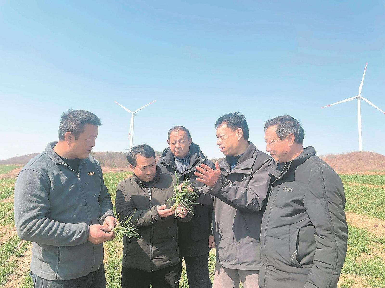 不误农时不负春光(图1)