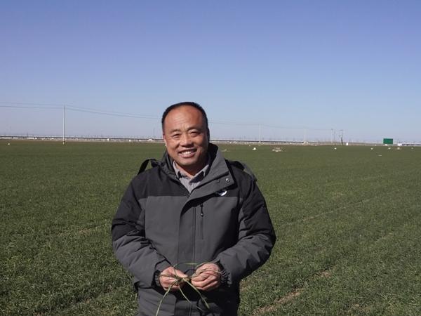 “小麦第一县”农户：土地会回报你对它的好(图1)