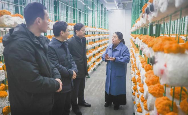 【央媒关注】《中国市场监管报》头版专栏刊发利辛县委书记张吉明专访文章(图5)