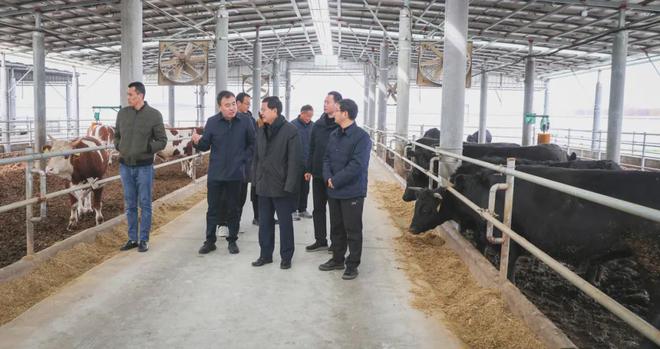 【央媒关注】《中国市场监管报》头版专栏刊发利辛县委书记张吉明专访文章(图4)
