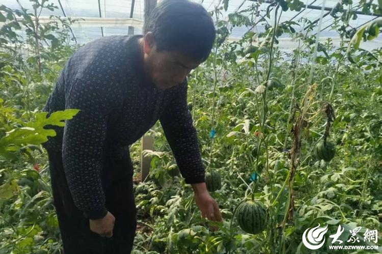 潍坊寒亭固堤街道奏响热潮涌动的春日乐章(图2)