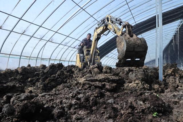 新疆库车市：首次蚯蚓养殖“粪”变有机肥(图1)